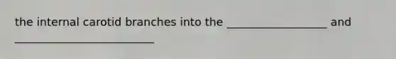 the internal carotid branches into the __________________ and _________________________