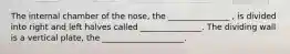 The internal chamber of the nose, the _______________ , is divided into right and left halves called _______________. The dividing wall is a vertical plate, the ____________________.