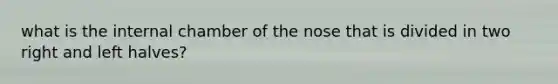 what is the internal chamber of the nose that is divided in two right and left halves?