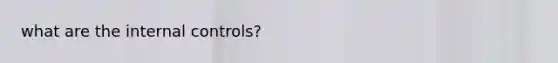 what are the internal controls?