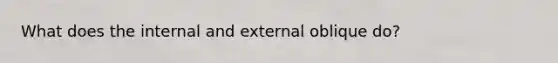 What does the internal and external oblique do?