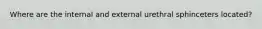 Where are the internal and external urethral sphinceters located?