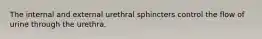 The internal and external urethral sphincters control the flow of urine through the urethra.