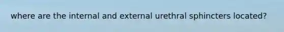 where are the internal and external urethral sphincters located?