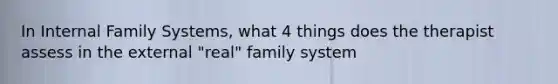 In Internal Family Systems, what 4 things does the therapist assess in the external "real" family system