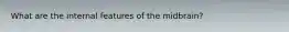 What are the internal features of the midbrain?