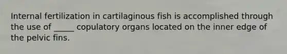 Internal fertilization in cartilaginous fish is accomplished through the use of _____ copulatory organs located on the inner edge of the pelvic fins.