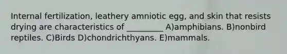 Internal fertilization, leathery amniotic egg, and skin that resists drying are characteristics of _________ A)amphibians. B)nonbird reptiles. C)Birds D)chondrichthyans. E)mammals.