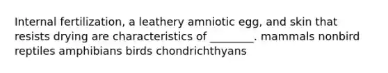 Internal fertilization, a leathery amniotic egg, and skin that resists drying are characteristics of ________. mammals nonbird reptiles amphibians birds chondrichthyans