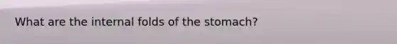 What are the internal folds of the stomach?