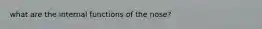 what are the internal functions of the nose?