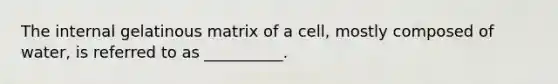 The internal gelatinous matrix of a cell, mostly composed of water, is referred to as __________.