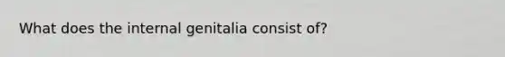 What does the internal genitalia consist of?