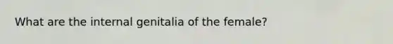 What are the internal genitalia of the female?