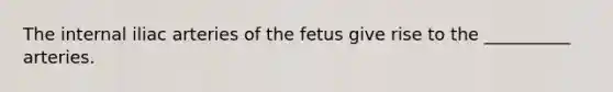 The internal iliac arteries of the fetus give rise to the __________ arteries.