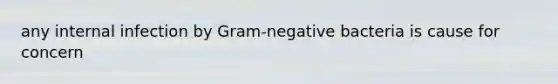 any internal infection by Gram-negative bacteria is cause for concern