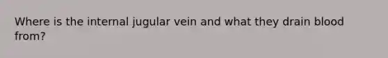 Where is the internal jugular vein and what they drain blood from?