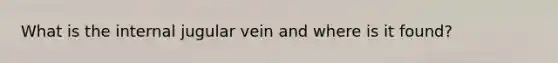 What is the internal jugular vein and where is it found?