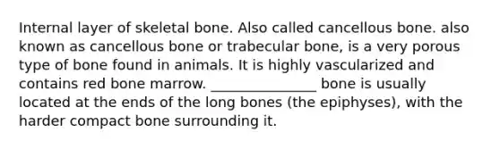 Internal layer of skeletal bone. Also called cancellous bone. also known as cancellous bone or trabecular bone, is a very porous type of bone found in animals. It is highly vascularized and contains red bone marrow. _______________ bone is usually located at the ends of the long bones (the epiphyses), with the harder compact bone surrounding it.