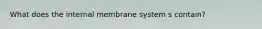 What does the internal membrane system s contain?