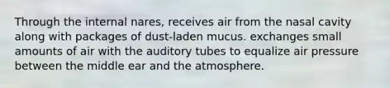 Through the internal nares, receives air from the nasal cavity along with packages of dust-laden mucus. exchanges small amounts of air with the auditory tubes to equalize air pressure between the middle ear and the atmosphere.