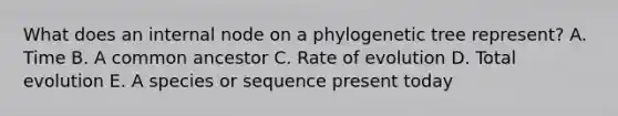 What does an internal node on a phylogenetic tree represent? A. Time B. A common ancestor C. Rate of evolution D. Total evolution E. A species or sequence present today