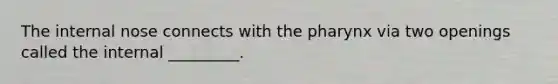 The internal nose connects with the pharynx via two openings called the internal _________.