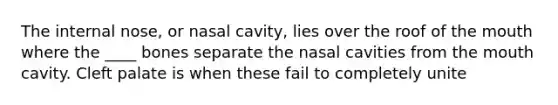 The internal nose, or nasal cavity, lies over the roof of <a href='https://www.questionai.com/knowledge/krBoWYDU6j-the-mouth' class='anchor-knowledge'>the mouth</a> where the ____ bones separate the nasal cavities from the mouth cavity. Cleft palate is when these fail to completely unite