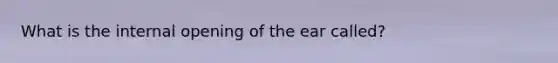 What is the internal opening of the ear called?