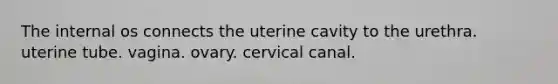 The internal os connects the uterine cavity to the urethra. uterine tube. vagina. ovary. cervical canal.