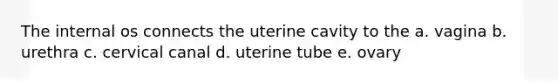 The internal os connects the uterine cavity to the a. vagina b. urethra c. cervical canal d. uterine tube e. ovary