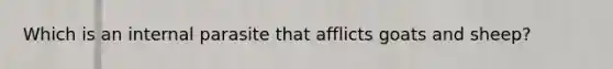 Which is an internal parasite that afflicts goats and sheep?