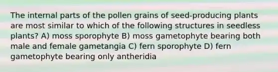 The internal parts of the pollen grains of seed-producing plants are most similar to which of the following structures in seedless plants? A) moss sporophyte B) moss gametophyte bearing both male and female gametangia C) fern sporophyte D) fern gametophyte bearing only antheridia