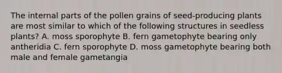 The internal parts of the pollen grains of seed-producing plants are most similar to which of the follo<a href='https://www.questionai.com/knowledge/k0difKoW8F-wing-structures' class='anchor-knowledge'>wing structures</a> in seedless plants? A. moss sporophyte B. fern gametophyte bearing only antheridia C. fern sporophyte D. moss gametophyte bearing both male and female gametangia