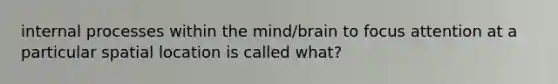 internal processes within the mind/brain to focus attention at a particular spatial location is called what?