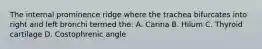 The internal prominence ridge where the trachea bifurcates into right and left bronchi termed the: A. Carina B. Hilum C. Thyroid cartilage D. Costophrenic angle
