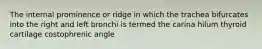 The internal prominence or ridge in which the trachea bifurcates into the right and left bronchi is termed the carina hilum thyroid cartilage costophrenic angle