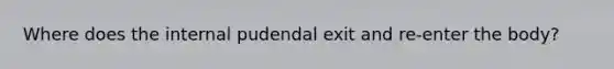 Where does the internal pudendal exit and re-enter the body?