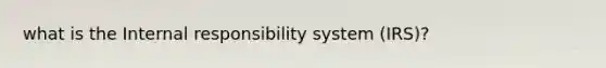 what is the Internal responsibility system (IRS)?