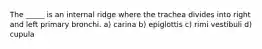 The _____ is an internal ridge where the trachea divides into right and left primary bronchi. a) carina b) epiglottis c) rimi vestibuli d) cupula
