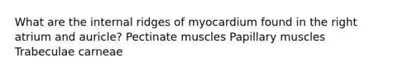 What are the internal ridges of myocardium found in the right atrium and auricle? Pectinate muscles Papillary muscles Trabeculae carneae