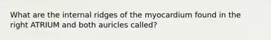 What are the internal ridges of the myocardium found in the right ATRIUM and both auricles called?