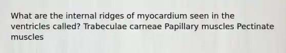 What are the internal ridges of myocardium seen in the ventricles called? Trabeculae carneae Papillary muscles Pectinate muscles