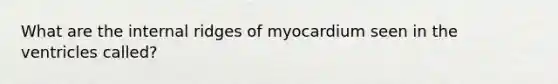 What are the internal ridges of myocardium seen in the ventricles called?