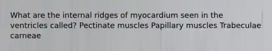 What are the internal ridges of myocardium seen in the ventricles called? Pectinate muscles Papillary muscles Trabeculae carneae