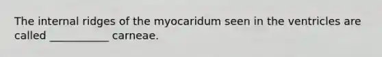 The internal ridges of the myocaridum seen in the ventricles are called ___________ carneae.