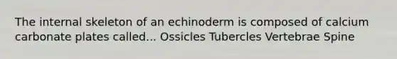 The internal skeleton of an echinoderm is composed of calcium carbonate plates called... Ossicles Tubercles Vertebrae Spine