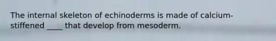 The internal skeleton of echinoderms is made of calcium-stiffened ____ that develop from mesoderm.