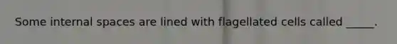 Some internal spaces are lined with flagellated cells called _____.
