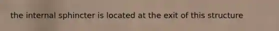 the internal sphincter is located at the exit of this structure